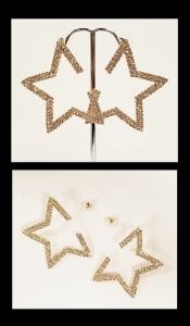Earrings ER19-0443G